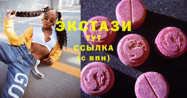 ECSTASY Богданович